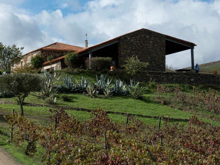 Local winery lunch, Portugal