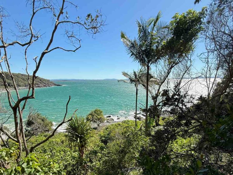 Views of the sun shining on the ocean from the coastal trail.