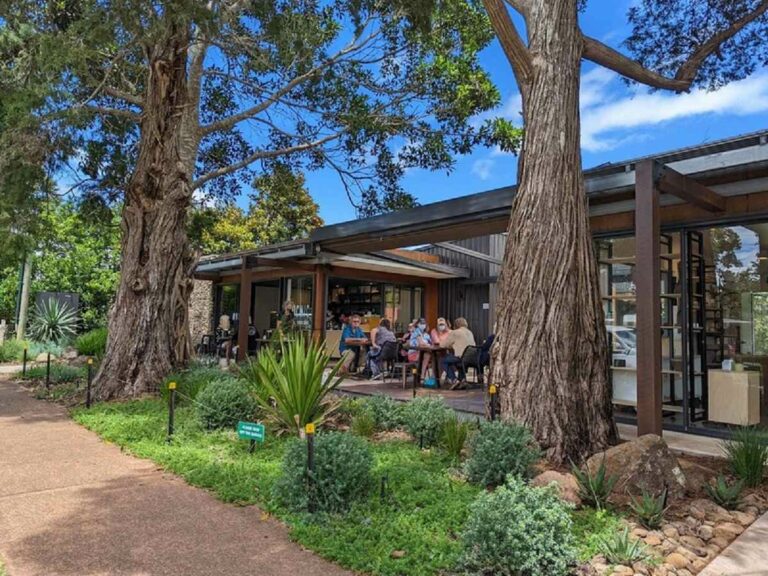 Picnic Real Food Bar, Tamborine Mountain