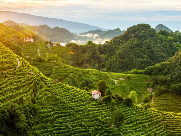 Prosecco Hills_credit Arcangelo Piai_Wine