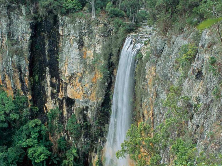 Purlingbrook falls, Springbrook NP