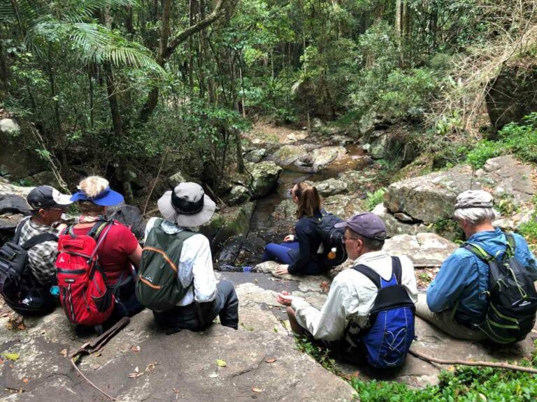 Rest stop near Waringah pool