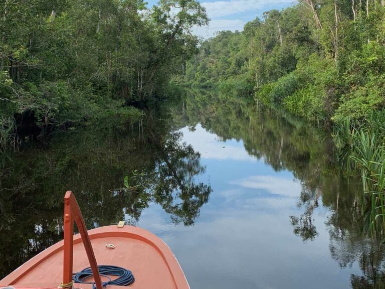 River cruise, Kalimantan, Borneo