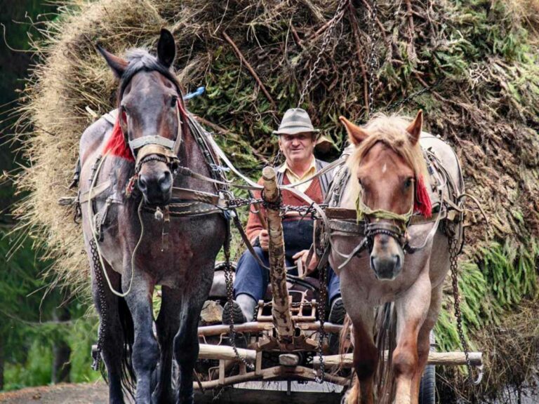 Romania – step back in time