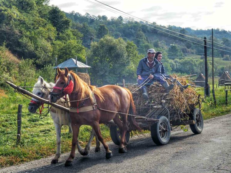 Romanian Horse and Cart