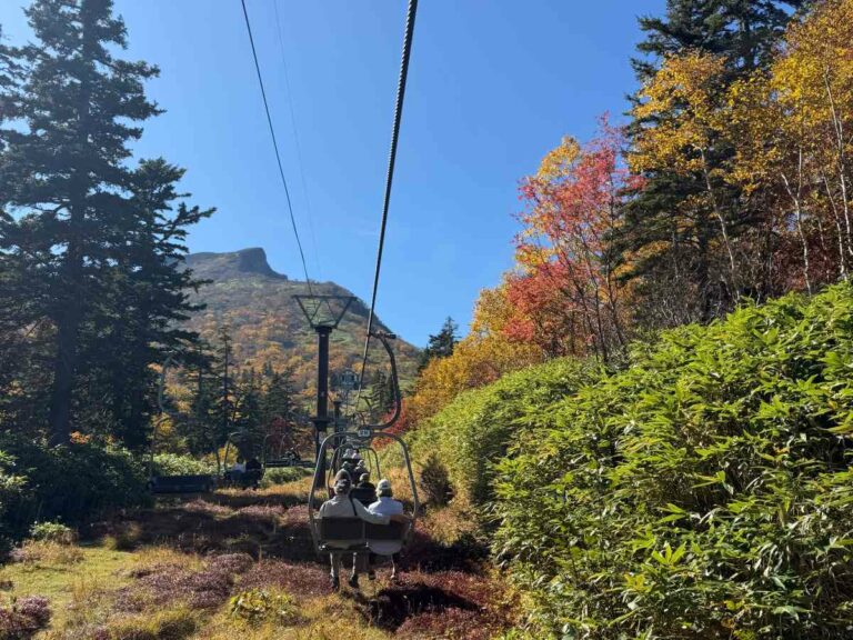Visitors riding chairlift through autumn forest with mountain peak and colourful foliage