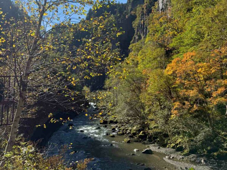 Forest stream flowing through autumn woodland with towering canyon walls and golden foliage