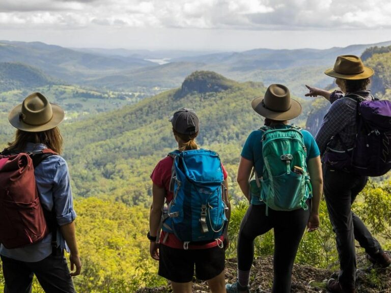 Stunning scenery in Lamington NP