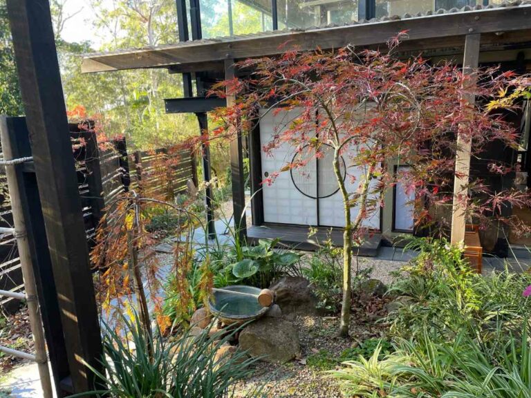 Traditional Japanese Tea Ceremony Gardens