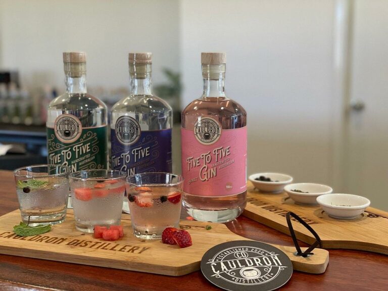 The Cauldron Distillery – Gin tasting