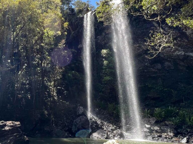 Twin falls walk Springbrook National Park