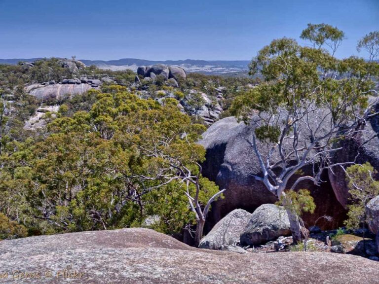 Views of Girraween NP from Mt Norman