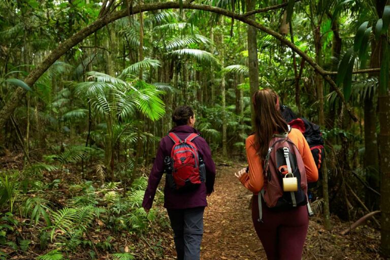 Hiking the Knoll, Tamborine National Park