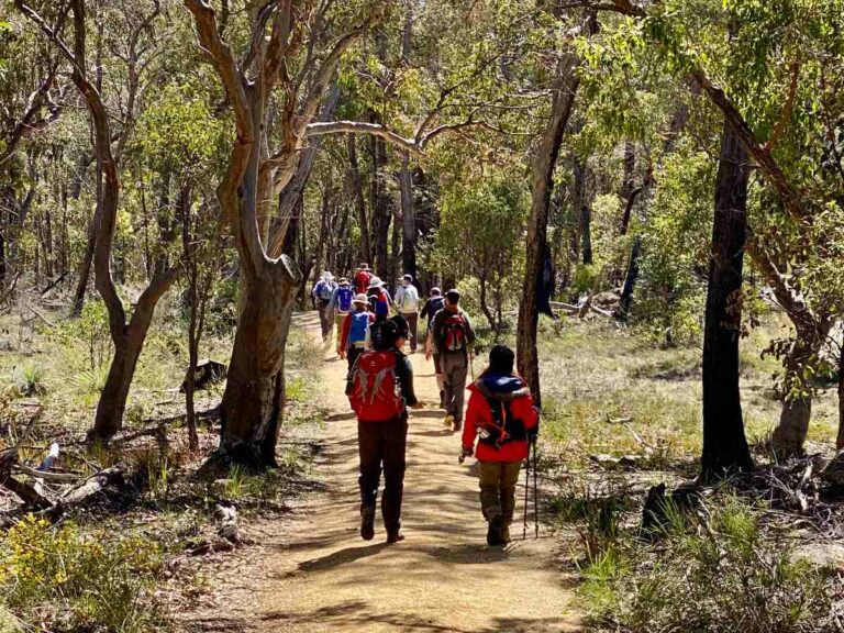 Walking in Giraween NP
