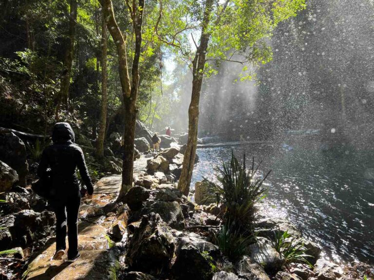 Walking to Twin falls Springbrook National Park