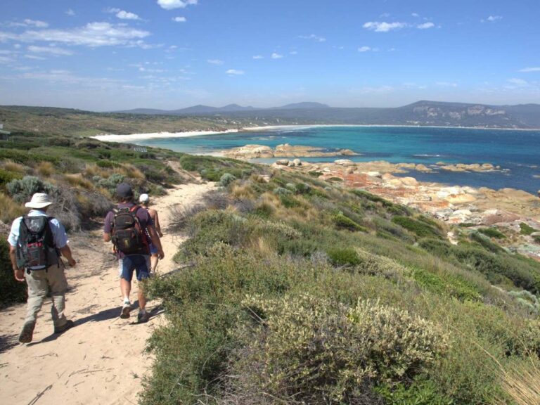 Walking track on Flinders Island credit Tourism Australia & Graham Freeman