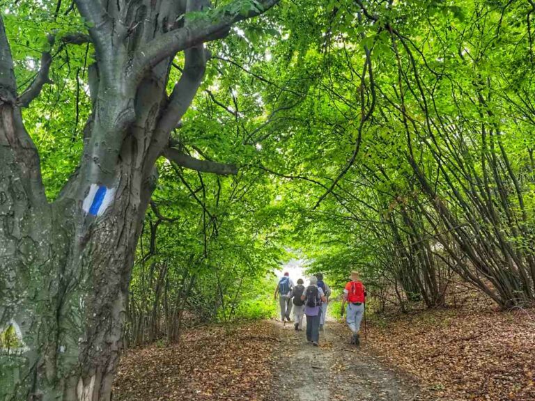 Walking trails, Romania