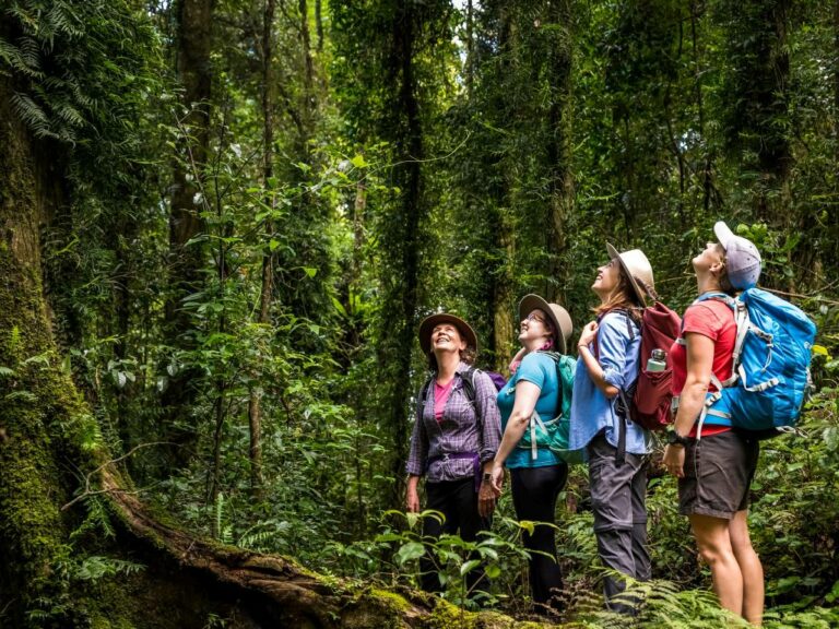 Walking women scenic rim