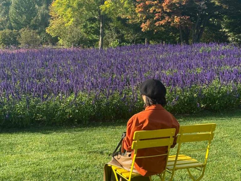 Woman in orange jacket sitting on yellow chair overlooking purple lavender field and forest trees