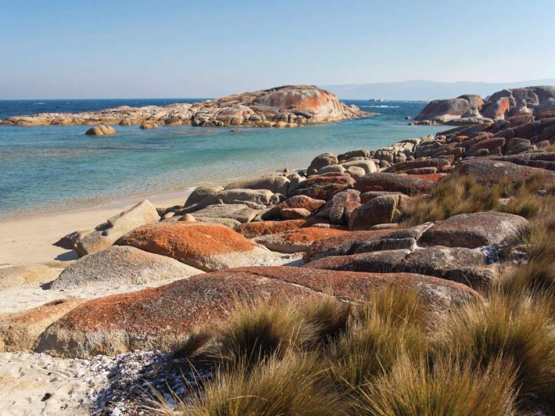 Beach on Flinders Island credit Tourism Australia