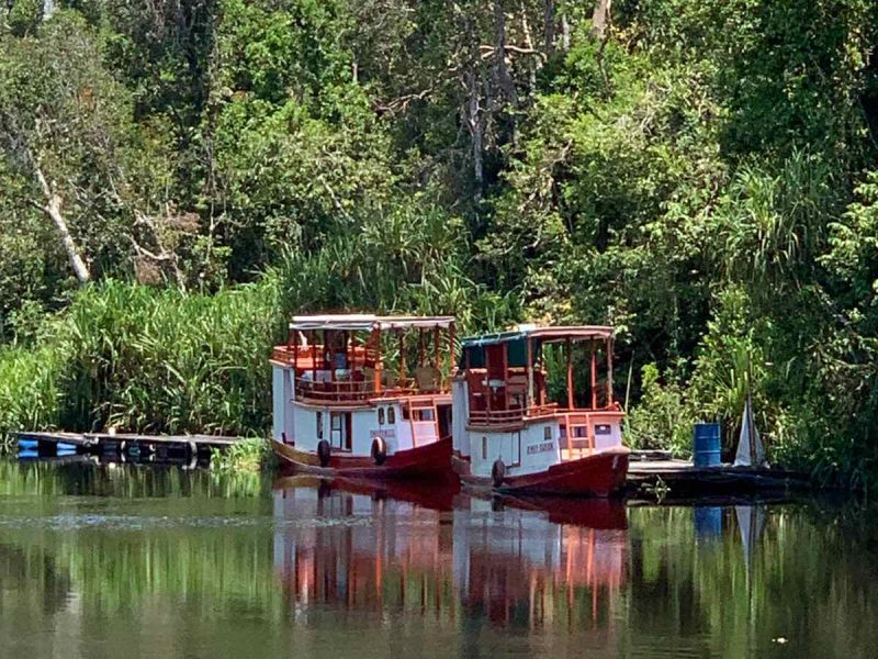 Kalimantan river boats, Borneo